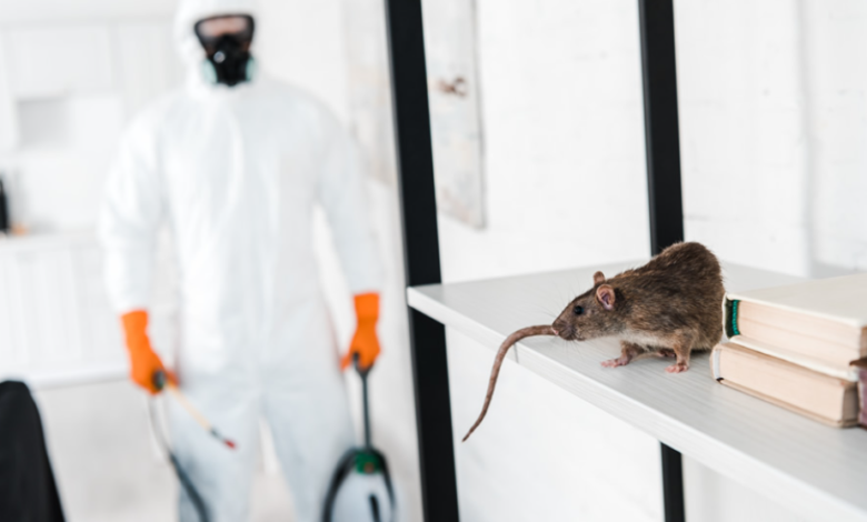 Trusted Exterminators in Chelmsford: Protecting Your Home from Pests