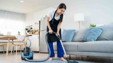 Why Seattle Residents Are Switching to Recurring House Cleaning and Pest Control Services