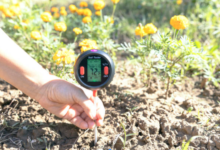 Choosing the Right pH Meter for Your Indoor Plants and Herbs