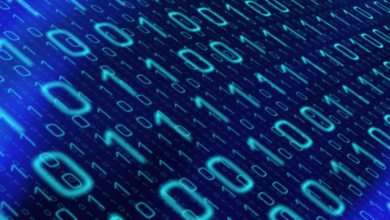 Encryption Software: Everything About It