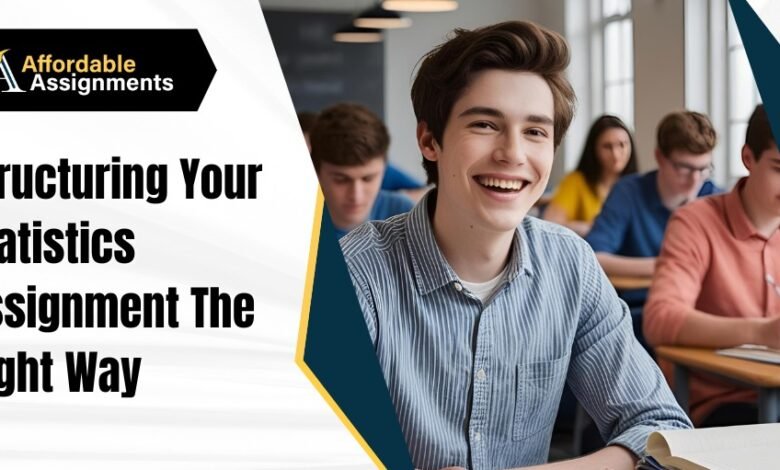Structuring Your Statistics Assignment The Right Way
