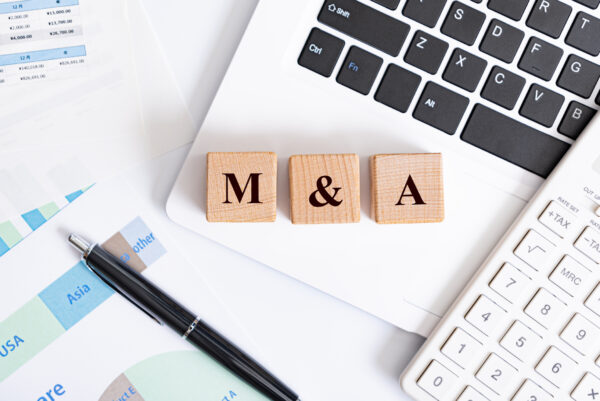 Navigating the Merger Maze: How M&A Consulting Fuels Smart Business Expansion